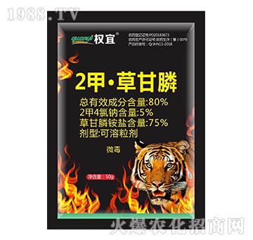 80%2�ס��ݸ��-����-�Z��