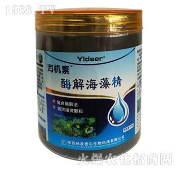 ø�⺣�徫-���C(j��)��-��?t��ng)����? width=