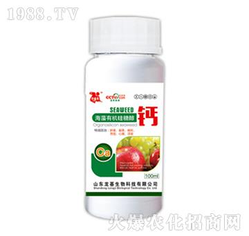 �ЙC���Ǵ��}-��������