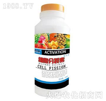 ��(x��)�������؏�(f��)����-��ʿ��