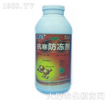 ����������-(li��n)��-� �����