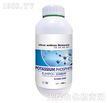 �������0-520-340-���_����