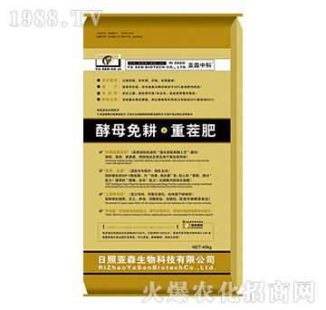 ��ĸ����ز��-��ɭ����