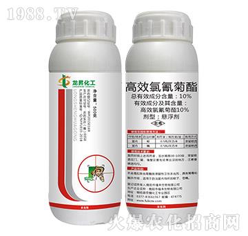 10%��Ч�������-���N����