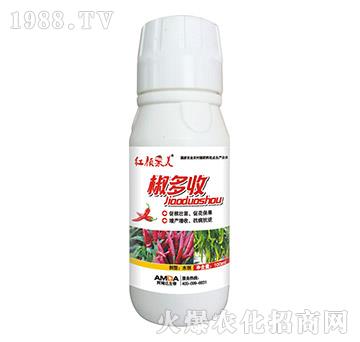 ������-�t���-��ķ�_(d��)