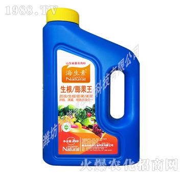 ����������_ʩ��-������-�ŵ�