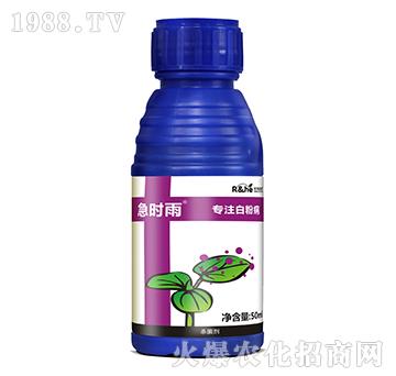 �׷۲����Ú�����-���r(sh��)��-�к�����