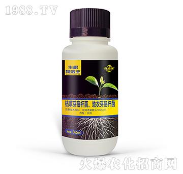 ������-�~�̷ʘI(y��)