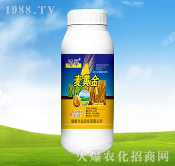 ���S��-ֲ��-�S�r(n��ng)�r(n��ng)��