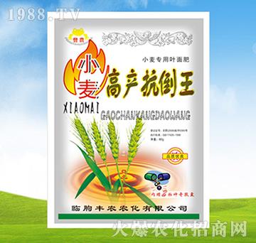 С���߮a������-ֲ��-�S�r�r��