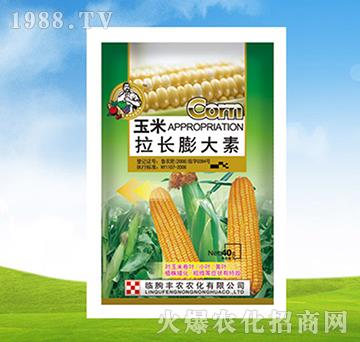 �������L�����-�S�r(n��ng)�r(n��ng)��