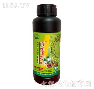 ����������w��-������ǹ�-���r(n��ng)