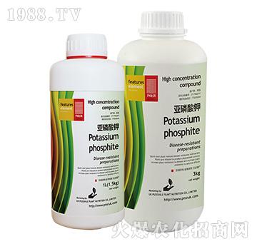 �������-ꖹ�G��