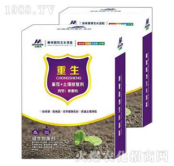 �ز�+�����ޏ�(f��)��-����-��ķ˹��