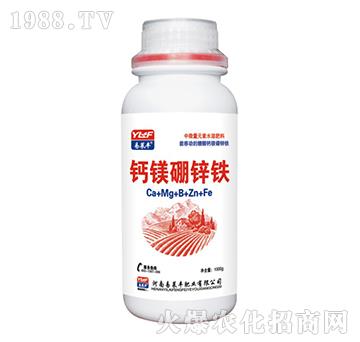 �}�V���\�F-���R�S