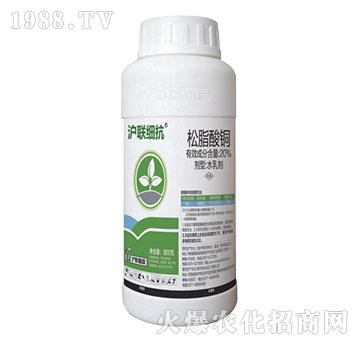 20%��֬���~-��(li��n)��(x��)��-��(li��n)