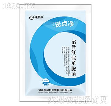 �ӝɼt�نΰ���-���c(di��n)��-̩����