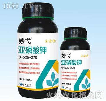 �������0-525-270-���-��ɭ��