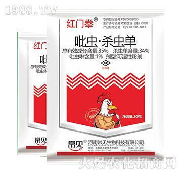 ���x�����x��-�tȭ�T-��Ҋ����