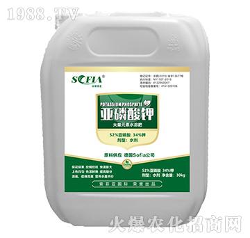 ������⛣�30kg��-���Ɓ�