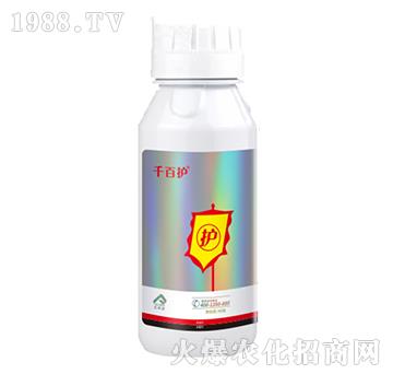 22%���ѡ��������x-ǧ���o(h��)-�����r(n��ng)