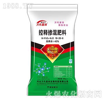 ��ጓ������19-20-6-�f(w��n)������