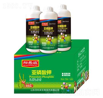 �������0-525-270+TE-�Ә�(l��)��-������(l��i)