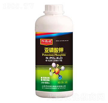 ƿ�b�������0-525-270+TE-�Ә�(l��)��-������(l��i)