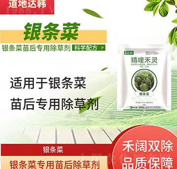 �y�l�˳��݄�-�y�l�����-�y�l�ˌ���-���n