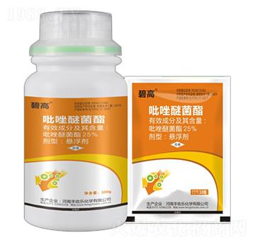 25%�����Ѿ���-�̸�-�S�՘�