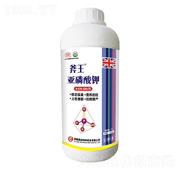 �������-����-��巉�(m��ng)