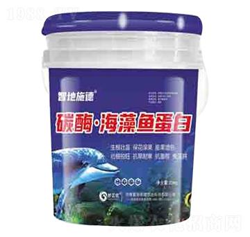 ̼ø�������~(y��)���� ��(r��n)��