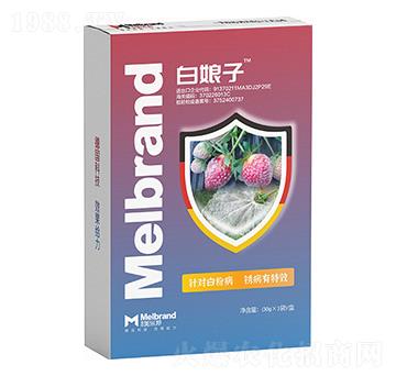 �׷۲����P����Ч ������ ������