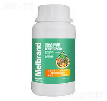 200ml�Ǵ�� ����(l��)��