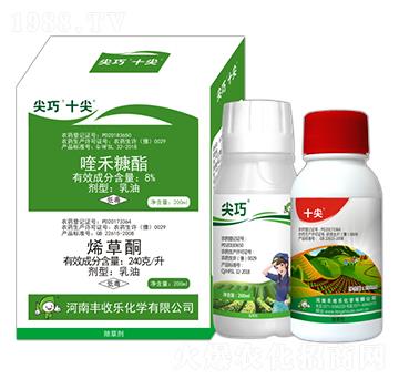 8%୺̿���+24%ϩ��ͪ-����ʮ��-�S�՘�