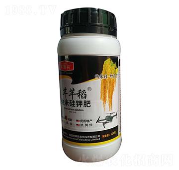 �{�׹�⛷� ܷܷ�� ¡��Դ����