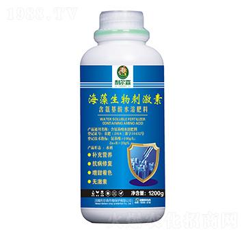 ��������̼���-����ɭ