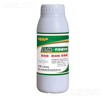 ���ǡ��}�V���\�F-̽·���h-�Pʢ�ʘI(y��)