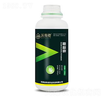 �Ǵ��-���Є�-���ճ�