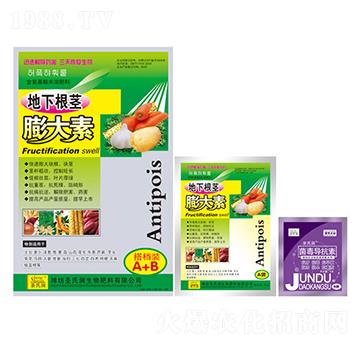 ���������-ʥ�ϝ�