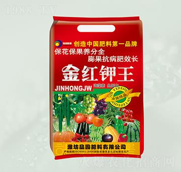 �������~(y��)����-��t���-���@����