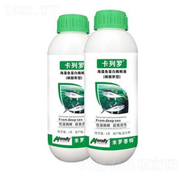 �����~(y��)����ø�⾫-�����_-��(y��u)��˼