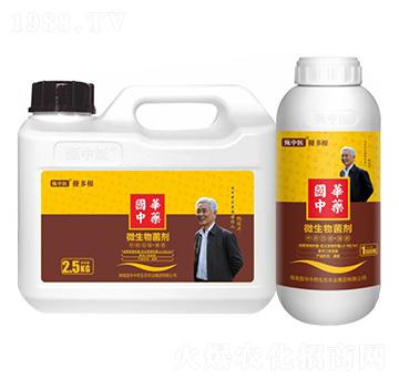 ��ˎ���ܡ�����-�����t(y��)�����-���A��ˎ