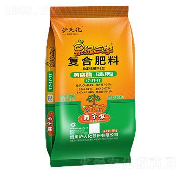 ���Ӽ��ͺϷ���17-17-17-��������-�o�컯