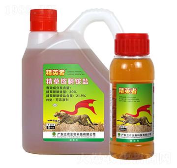 20%�����@�-��Ӣ��-�V�|���r