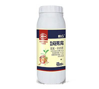 ���x������-����