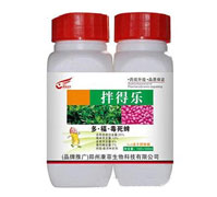 25%�ࡤ����������