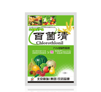 75%�پ���-����