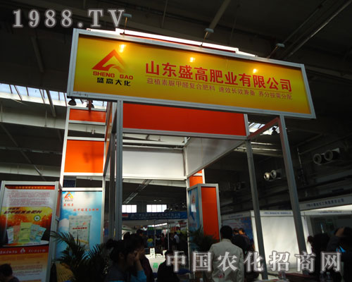 ʢ�ߴ󻯷����ИI(y��)�l(f��)չ