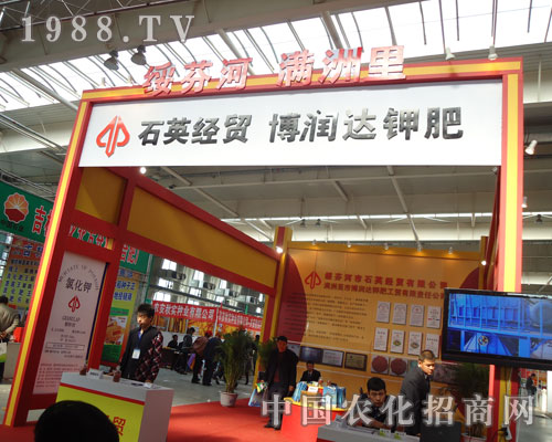 ʯӢ��(j��ng)�Q(m��o)����ʮ��⛷��Q(m��o)��Ʒ��